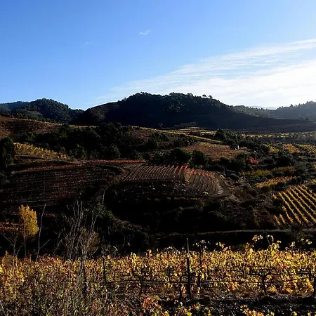 Balco Del Priorat La Morera de Montsant