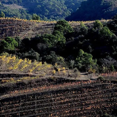 Balco Del Priorat 3* La Morera de Montsant
